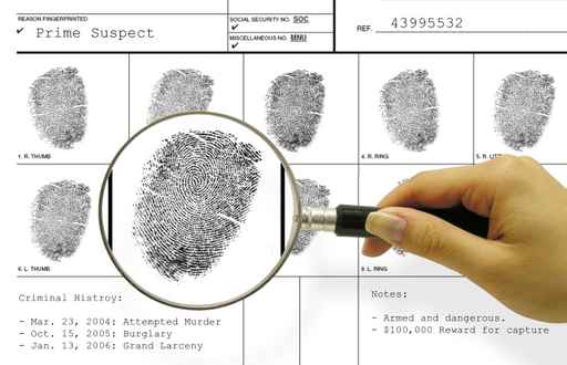 Introduction to Criminal Justice (CJ/CSI) Introduction to Criminal Justice (CJ/CSI)